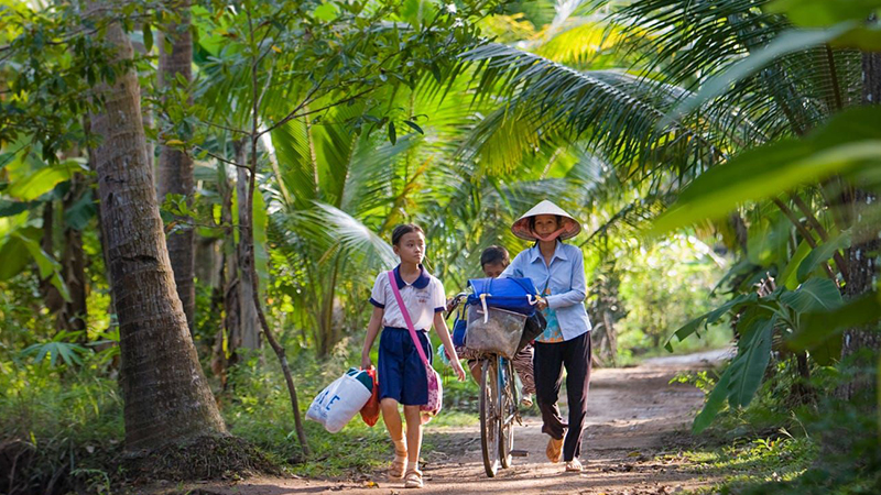 Ảnh thiên nhiên mộc mạc 3